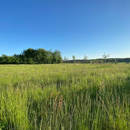 Heideglueck * Asendorf (Harburg)